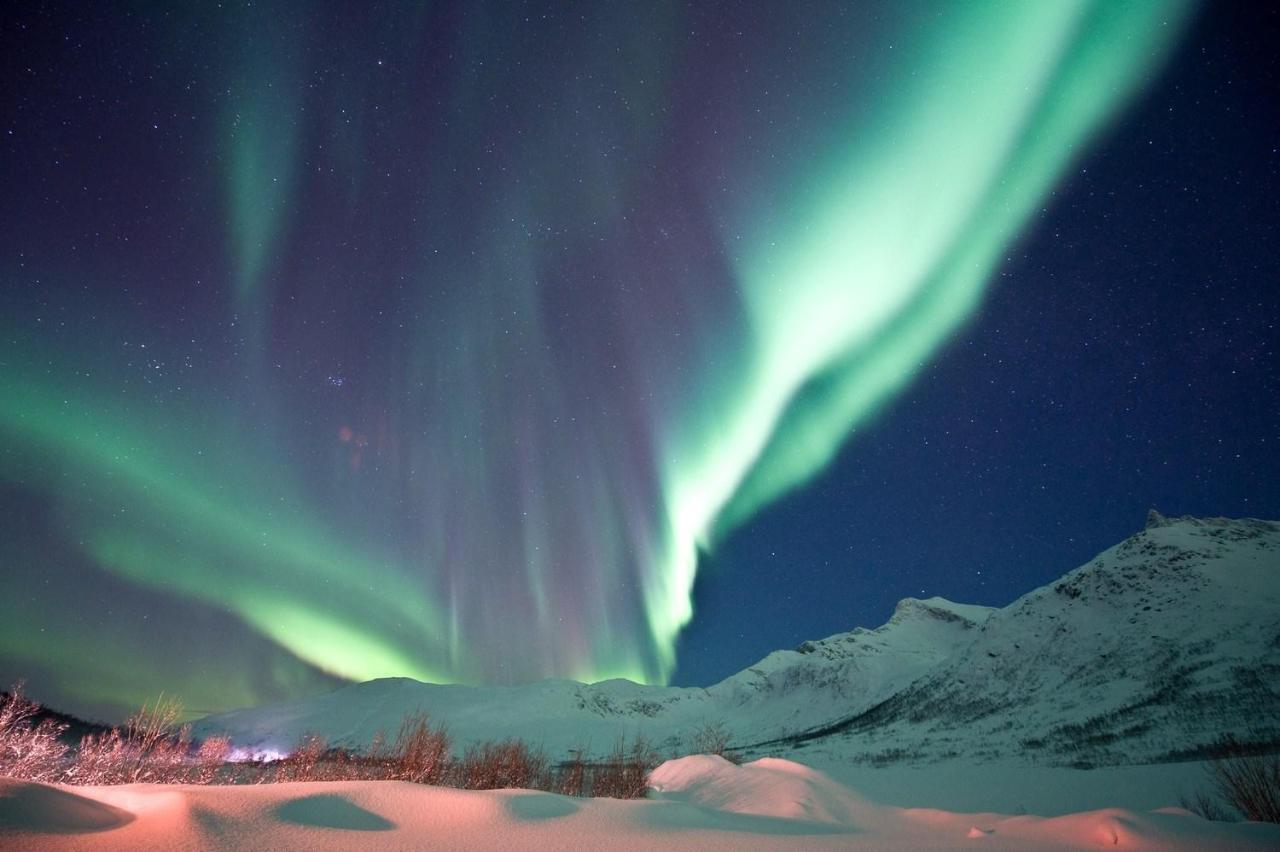 Kaikanten Kro og Rorbu Sennesvik Bagian luar foto